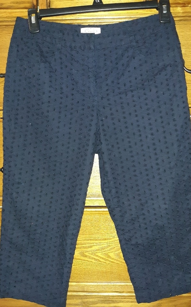 Talbots Navy Petite Capri Pants